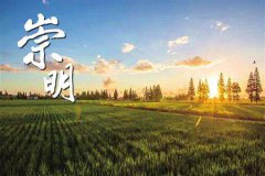 太仓代办公司注册有什么要求